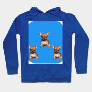 Three puppies Hoodie